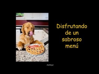 Disfrutando
de un
sabroso
menú
¡Refleja!
 