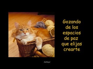 Gozando
de los
espacios
de paz
que elijas
crearte
¡Refleja!
 
