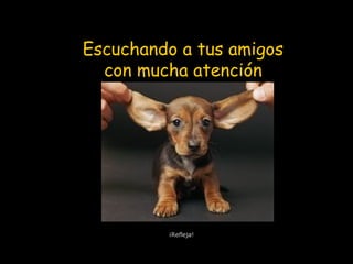 Escuchando a tus amigos
con mucha atención
¡Refleja!
 