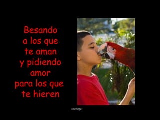 Besando
a los que
te aman
y pidiendo
amor
para los que
te hieren
¡Refleja!
 