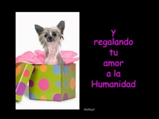 y
regalando
tu
amor
a la
Humanidad
¡Refleja!
 