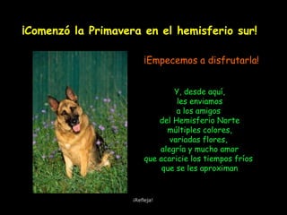 ¡Comenzó la Primavera en el hemisferio sur!
Y, desde aquí,
les enviamos
a los amigos
del Hemisferio Norte
múltiples colores,
variadas flores,
alegría y mucho amor
que acaricie los tiempos fríos
que se les aproximan
¡Empecemos a disfrutarla!
¡Refleja!
 