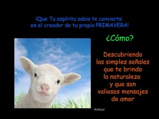 ¡Que Tu espíritu sabio te convierta
en el creador de tu propia PRIMAVERA!
¿Cómo?
Descubriendo
las simples señales
que te brinda
la naturaleza
y que son
valiosos mensajes
de amor
¡Refleja!
 