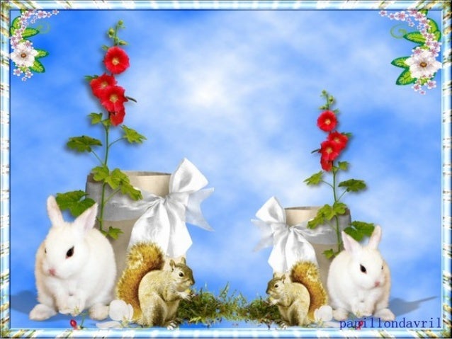 Feliz Pascoa Happy Easter
