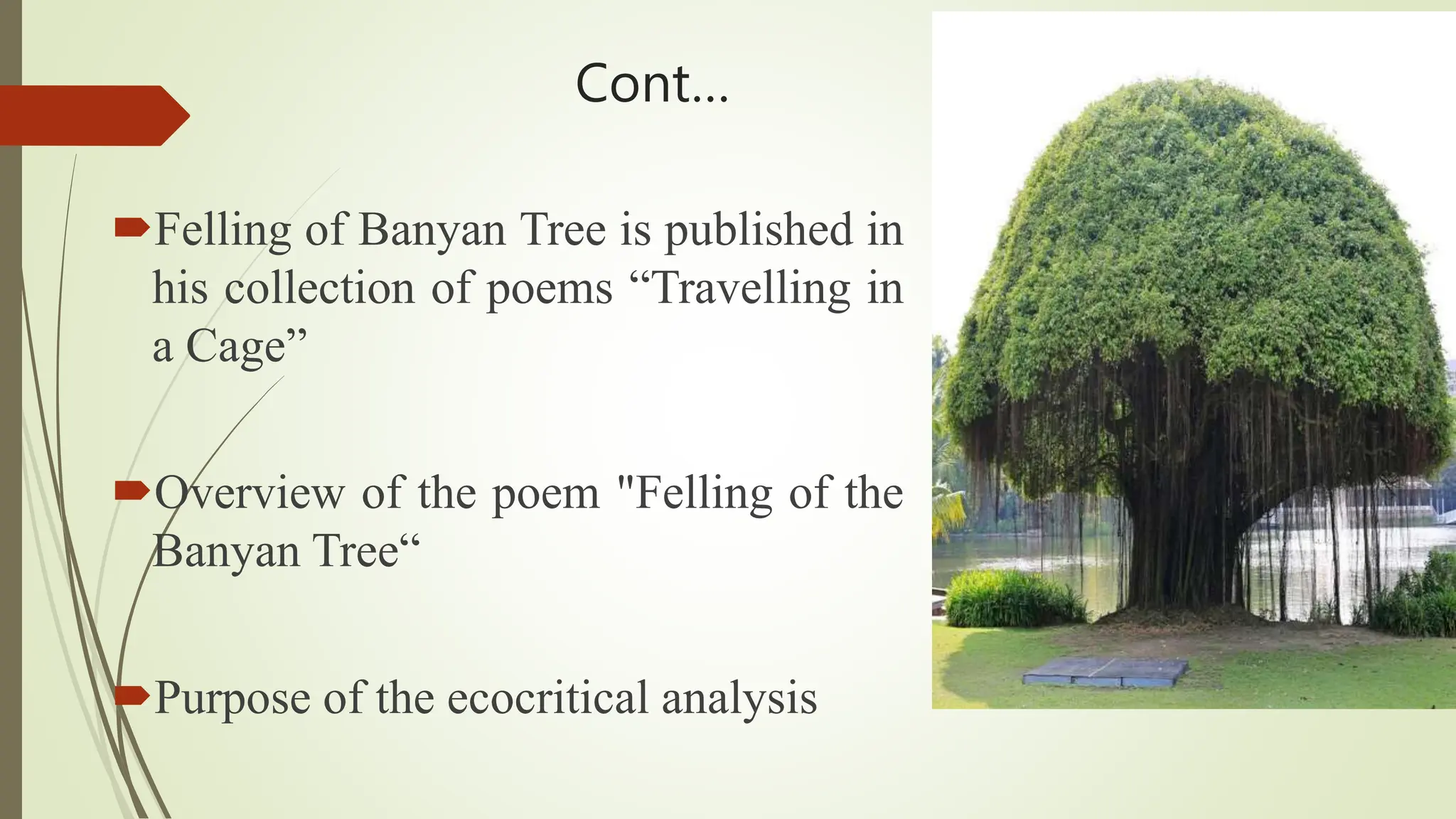 Felling of the Banyan Tree Ecocritical Analysis.pptx