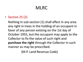 MLRC 
• Section 25 (2) 
Nothing in sub-section (1) shall affect in any area 
any right in trees in the holding of an occupant in 
favor of any person existing on the 1st day of 
October 1955, but the occupant may apply to the 
Collector to fix the value of such right and 
purchase the right through the Collector in such 
manner as may be prescribed. 
(M.P. Land Revenue Code) 
 