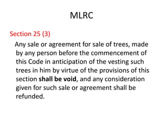 MLRC 
Section 25 (3) 
Any sale or agreement for sale of trees, made 
by any person before the commencement of 
this Code in anticipation of the vesting such 
trees in him by virtue of the provisions of this 
section shall be void, and any consideration 
given for such sale or agreement shall be 
refunded. 
 