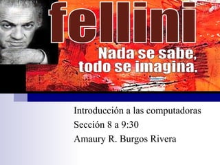 Federico Fellini 
Introducción a las computadoras 
Sección 8 a 9:30 
Amaury R. Burgos Rivera 
 