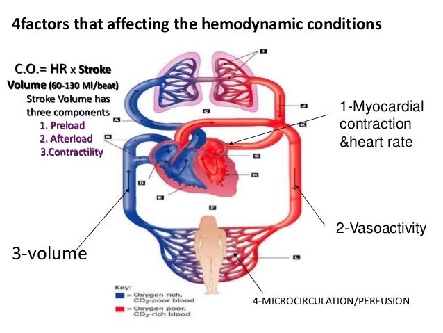 Which option is the best definition for cardiac output