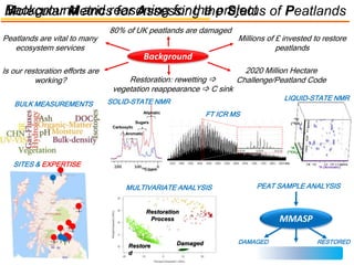 Background and reasoning for the projectMolecular Metrics for Assessing the Status of Peatlands
Background
Peatlands are vital to many
ecosystem services
80% of UK peatlands are damaged
2020 Million Hectare
Challenge/Peatland CodeRestoration: rewetting 
vegetation reappearance  C sink
Is our restoration efforts are
working?
m/z
1H (Aromatic)
13C
(13CH3)
1H
(13CH3)
13C/ppm
Aliphatic
Sugars
Aromatic
Carboxylic
MMASP
Restore
d
Damaged
Restoration
Process
Millions of £ invested to restore
peatlands
LIQUID-STATE NMR
FT ICR MS
MULTIVARIATE ANALYSIS
BULK MEASUREMENTS
SITES & EXPERTISE
PEAT SAMPLE ANALYSIS
DAMAGED RESTORED
SOLID-STATE NMR
 