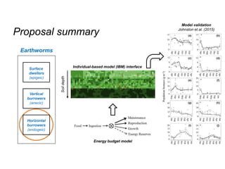 Proposal summary
Vertical
burrowers
(anecic)
Horizontal
burrowers
(endogeic)
Surface
dwellers
(epigeic)
Earthworms
Model validation
Johnston et al. (2015)
Energy budget model
Individual-based model (IBM) interface
Soildepth
 