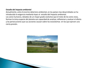 Estudio del impacto ambientalActualmente, ante el enorme deterioro ambiental, en los países mas desarrollados se ha introducido la exigencia mediante leyes el  estudio del impacto ambiental.Los seres humanos, dotados de un mayor grado evolutivo que el resto de los seres vivos, forman la única especie del planeta con capacidad de analizar, reflexionar y evaluar el efecto y las persecuciones que sus acciones causan sobre los ecosistemas  en los que ejercen una cierta presión.