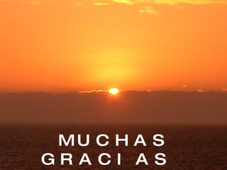 MUCHAS GRACIAS   