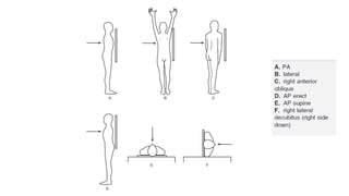 Felson’s Chapter 1. The Radiographic Examination: The Basicspptx | PPTX