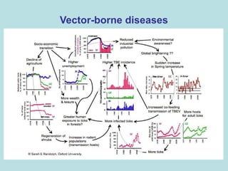 Role of climate change in epidemiology of infectious diseases