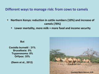 Role of climate change in epidemiology of infectious diseases
