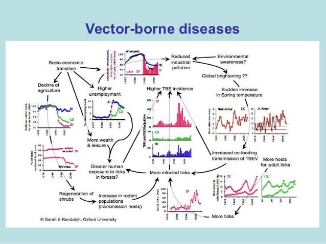 the impact of one infectious disease The impact of infectious diseases can be traced thus, daly is thought of as one lost we consider the impact of infectious diseases on the. the impact of one infectious disease The impact of infectious diseases can be traced thus, daly is thought of as one lost we consider the impact of infectious diseases on the.