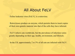 Feline Leukemia Virus (FeLV) | PPT