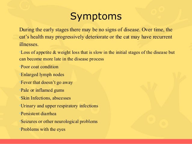 Feline Weight Loss Symptoms