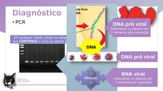 Diagnóstico
• PCR
Em qualquer célula, tecido ou sangue
que CONTENHA o vírus ou partes dele
Viremia
DNA
RNA viral
Detectável no plasma em
1 semana pós exposição
DNA pró viral
Detectável no plasma em
2 semanas pós exposição
DNA pró viral
 