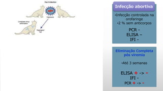 Eliminação Completa
•Infecção controlada na
orofaringe
•2 % sem anticorpos
PCR -
ELISA –
IFI -
Eliminação Completa
pós viremia
•Até 3 semanas
ELISA + -> -
IFI -
PCR + -> -
Infecção abortiva
 