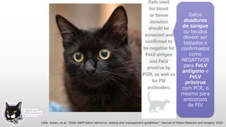 Gatos
doadores
de sangue
ou tecidos
devem ser
testados e
confirmados
como
NEGATIVOS
para FeLV
antígeno e
FeLV
próvirus
com PCR, o
mesmo para
anticorpos
de FIV
Little, Susan, et al. "2020 AAFP feline retrovirus testing and management guidelines." Journal of Feline Medicine and Surgery 2020
 