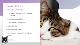 Sinais clínicos
• Variáveis e múltiplos
• Idade, subtipo viral, resposta
imune...
• Perda de peso (63%)
• Crônica e progressiva
• Febre (42%)
• Desidratação (35%)
• Aumento de linfonodos periféricos
(13%)
 