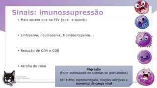 Sinais: imunossupressão
• Mais severa que na FIV (quali e quanti)
• Linfopenia, neutropenia, trombocitopenia...
• Redução de CD4 e CD8
• Atrofia de timo
Filgrastin
(Fator estimulador de colônias de granulócitos)
EF: Febre, esplenomegalia, reações alérgicas e
aumento de carga viral
 