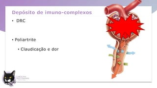 Depósito de imuno-complexos
• DRC
• Poliartrite
• Claudicação e dor
 