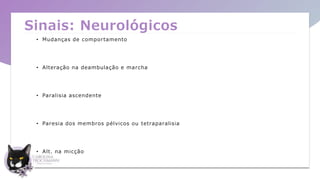 Sinais: Neurológicos
• Mudanças de comportamento
• Alteração na deambulação e marcha
• Paralisia ascendente
• Paresia dos membros pélvicos ou tetraparalisia
• Alt. na micção
 