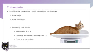Tratamento
• Diagnóstico e tratamento rápido de doenças secundárias
• Mais longo
• Mais agressivo
• Check-up cd 6 meses
• Hemograma = cd 6
• Completo +urinálise + cultura = cd 12
• Fezes = se necessário
•
 