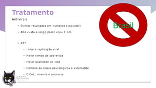 Tratamento
Antivirais
• Ótimos resultados em humanos (coquetel)
• Alto custo a longo prazo e /ou E.Col.
• AZT
• Inibe a replicação viral
• Maior tempo de sobrevida
• Maior qualidade de vida
• Melhora de sinais neurológicos e estomatite
• E.Col.: anemia e anorexia
Brasil
 