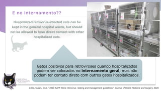 E no internamento??
Gatos positivos para retroviroses quando hospitalizados
podem ser colocados no internamento geral, mas não
podem ter contato direto com outros gatos hospitalizados.
Little, Susan, et al. "2020 AAFP feline retrovirus testing and management guidelines." Journal of Feline Medicine and Surgery 2020
 
