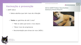 Vacinação e prevenção
• AAFP 2013
• Gatos adultos que tem risco de infecção
• Todos os gatinhos de até 1 ano*
• *Não se sabe qual será o risco depois
• *Maior risco de progressiva
• Recomendação para áreas de risco (NÓS!)
 
