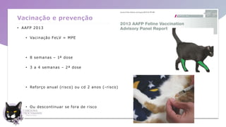 Vacinação e prevenção
• AAFP 2013
• Vacinação FeLV = MPE
• 8 semanas – 1ª dose
• 3 a 4 semanas – 2ª dose
• Reforço anual (risco) ou cd 2 anos (-risco)
• Ou descontinuar se fora de risco
 