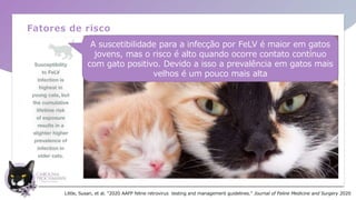 Fatores de risco
A suscetibilidade para a infecção por FeLV é maior em gatos
jovens, mas o risco é alto quando ocorre contato contínuo
com gato positivo. Devido a isso a prevalência em gatos mais
velhos é um pouco mais alta
Little, Susan, et al. "2020 AAFP feline retrovirus testing and management guidelines." Journal of Feline Medicine and Surgery 2020
 