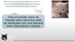 Uma prevenção maior da
infecção pelos retrovírus pode
ser alcançada com uma parceria
entre veterinários e tutores
Little, Susan, et al. "2020 AAFP feline retrovirus testing and management guidelines." Journal of Feline Medicine and Surgery 2020
 