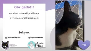 Obrigada!!!
caroltrochmann@gmail.com
mvfelinos.carol@gmail.com
@CarolTrochmann @Confraria.Felina
Fred
 