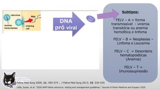 J Feline Med Surg 2009; 11: 565-574 ; J Feline Med Surg 2013; 15: 534-535
DNA
pró viral
Little, Susan, et al. "2020 AAFP feline retrovirus testing and management guidelines." Journal of Feline Medicine and Surgery 2020
Subtipos:
FELV – A = forma
transmissível - viremia
transitória ou anemia
hemolítica e linfoma
FELV – B = Neoplasias –
Linfoma e Leucemia
FELV – C = Desordens
hematopoiéticas
(Anemia)
FELV – T =
Imunossupressão
 