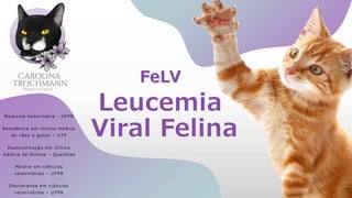 FeLV
Leucemia
Viral Felina
Medicina Veterinária - UFPR
Residência em clínica médica
de cães e gatos – UTP
Especialização em clínica
médica de felinos – Qualittas
Mestre em ciências
veterinárias – UFPR
Doutoranda em ciências
veterinárias – UFPR
 