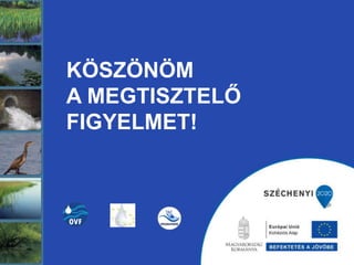 KÖSZÖNÖM
A MEGTISZTELŐ
FIGYELMET!
 