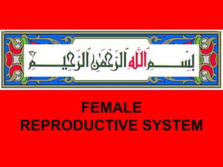 FEMALE
REPRODUCTIVE SYSTEM
 