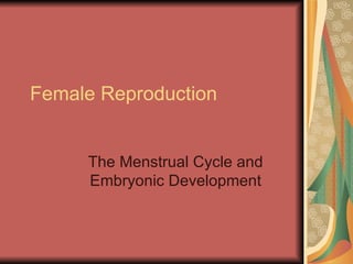 Female Reproduction The Menstrual Cycle and Embryonic Development 