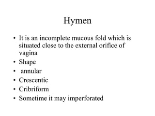 Female reproductive system | PPTX