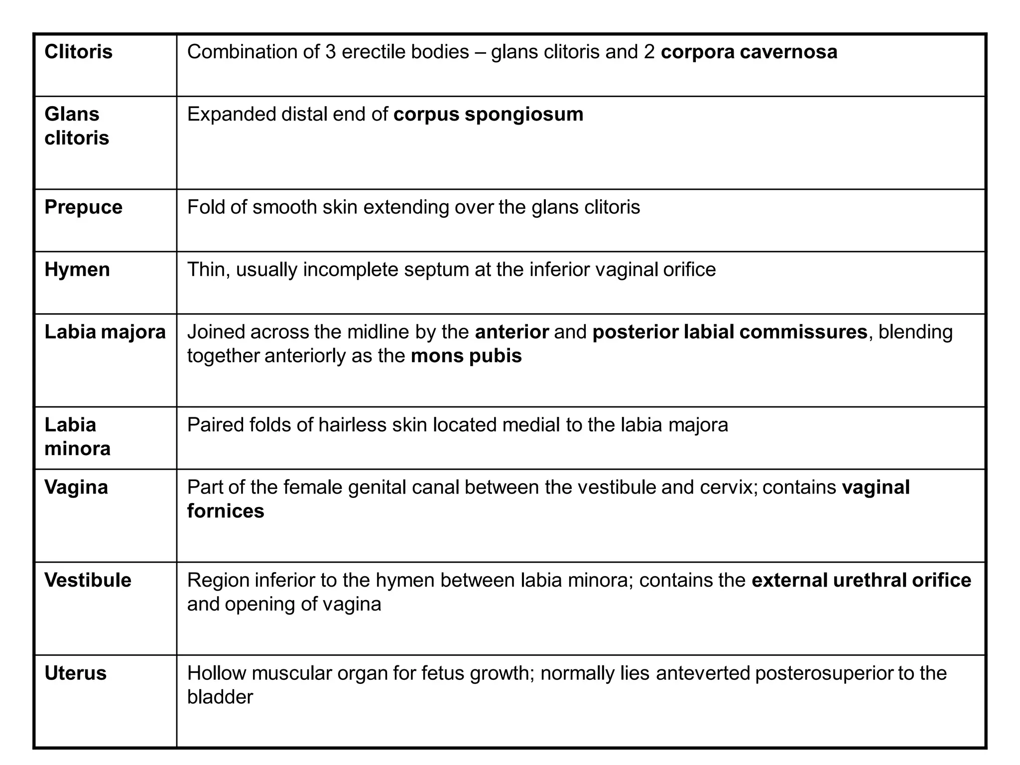 Clitoris       Combination of 3 erectile bodies – glans clitoris and 2 corpora cavernosa


Glans          Expanded distal end of corpus spongiosum
clitoris


Prepuce        Fold of smooth skin extending over the glans clitoris


Hymen          Thin, usually incomplete septum at the inferior vaginal orifice


Labia majora   Joined across the midline by the anterior and posterior labial commissures, blending
               together anteriorly as the mons pubis


Labia          Paired folds of hairless skin located medial to the labia majora
minora
Vagina         Part of the female genital canal between the vestibule and cervix; contains vaginal
               fornices


Vestibule      Region inferior to the hymen between labia minora; contains the external urethral orifice
               and opening of vagina


Uterus         Hollow muscular organ for fetus growth; normally lies anteverted posterosuperior to the
               bladder
 
