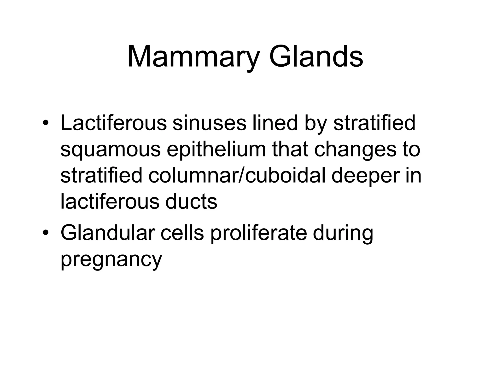Mammary Glands

• Lactiferous sinuses lined by stratified
  squamous epithelium that changes to
  stratified columnar/cuboidal deeper in
  lactiferous ducts
• Glandular cells proliferate during
  pregnancy
 