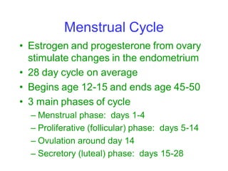 Menstrual Cycle
• Estrogen and progesterone from ovary
  stimulate changes in the endometrium
• 28 day cycle on average
• ...