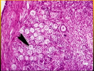 click image to return
 