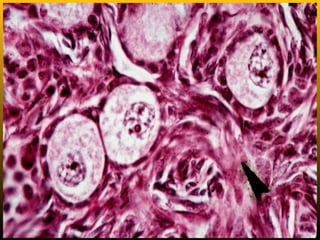 click image to return
 