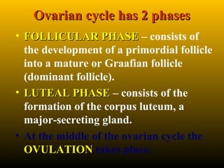 Ovarian cycle has 2 phasesOvarian cycle has 2 phases
• FOLLICULAR PHASEFOLLICULAR PHASE – consists of
the development of a primordial follicle
into a mature or Graafian follicle
(dominant follicle).
• LUTEAL PHASELUTEAL PHASE – consists of the
formation of the corpus luteum, a
major-secreting gland.
• At the middle of the ovarian cycle the
OVULATIONOVULATION takes place.
 